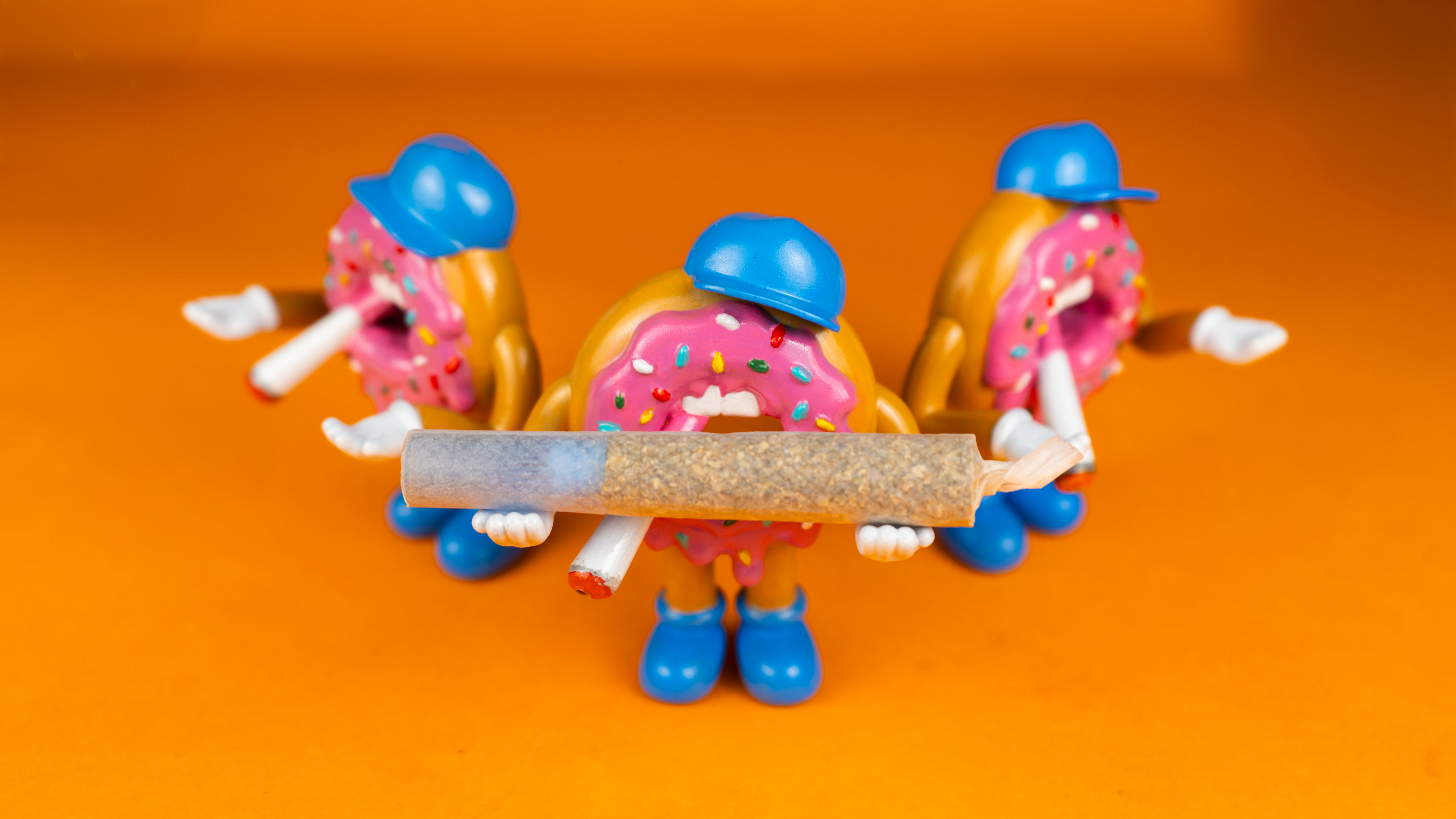 DOOBIE DONUT